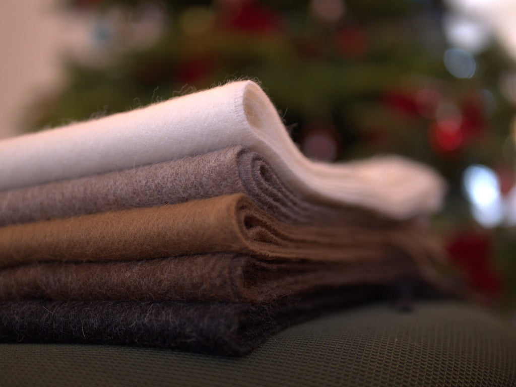 CHAL AGUADA BLANCA - Marrón