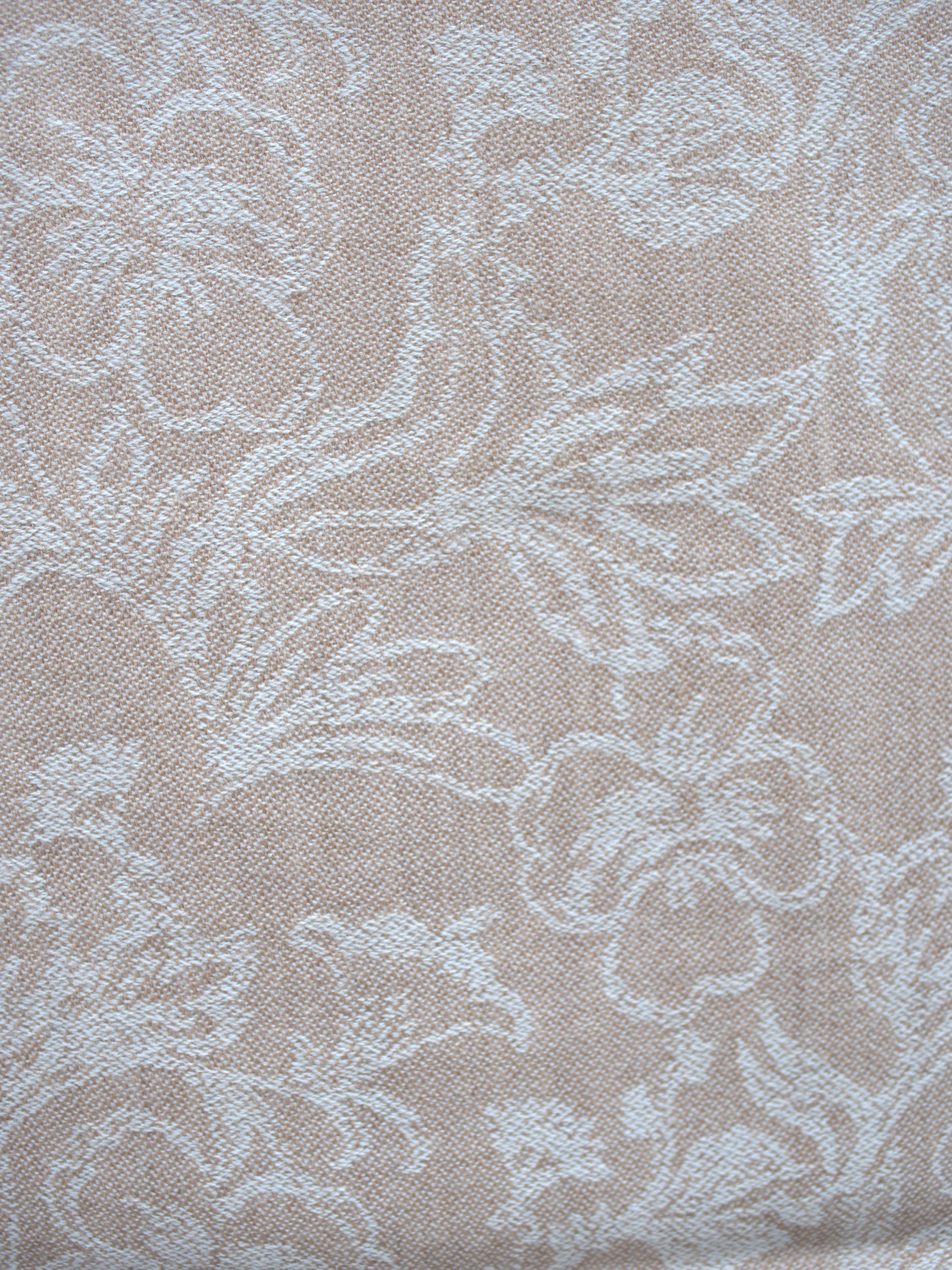 ÉCHARPE BOTANICA - Beige Corail